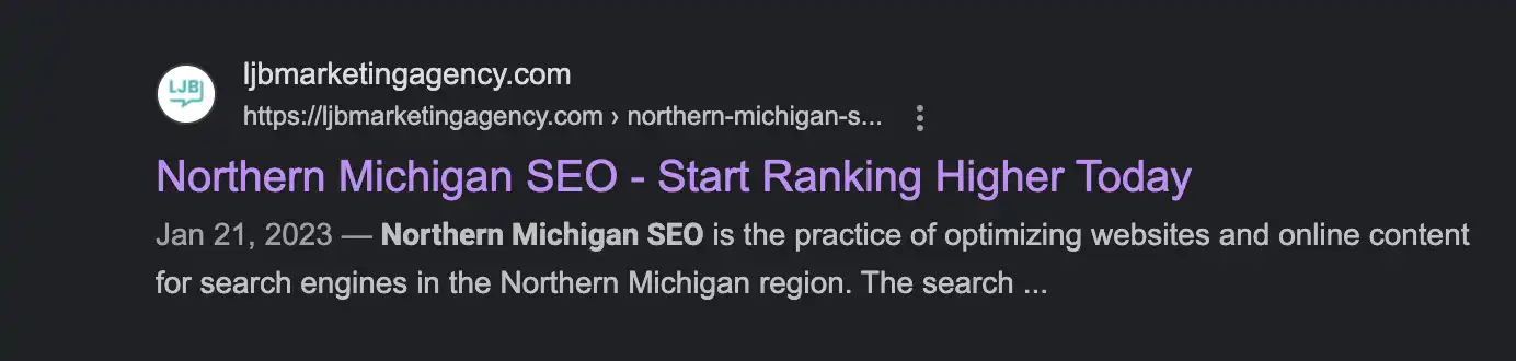 Affordable SEO Michigan Search Result for the query Northern Michigan SEO