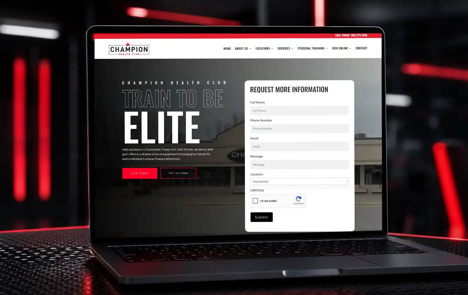 Michigan website design example by LJB Marketing Agency